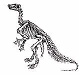 Iguanodon