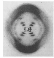 R�ntgenstrahlen-Beugungsbild der DNA