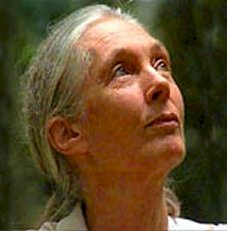 Jane Goodall