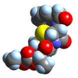 Kugelmodell des Penicillin-Molek&uuml;ls